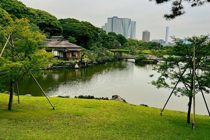 Tokyo Bay and Tsukiji Fish Market - The Balance of Price and Experience