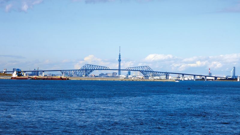 Tokyo Bay Buffet Cruise Aboard The Symphony - Who will get the most from this cruise