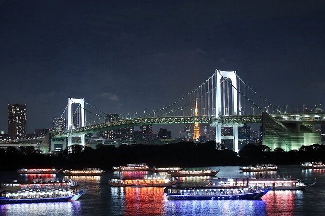 Tokyo Bay Cruise Adventure with options - Practical Details