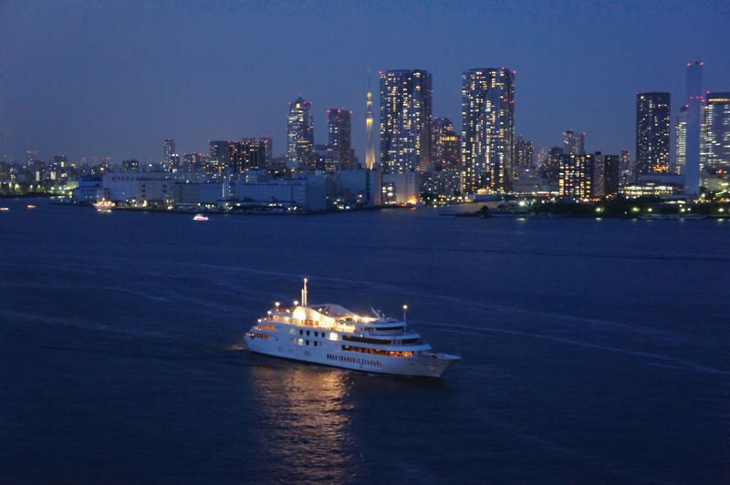 Tokyo Bay Dinner Cruise (The Symphony) - The highlights at a glance