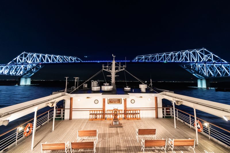 Tokyo Bay Dinner Cruise (The Symphony) - Practical details that can save you a headache