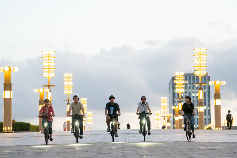 Tokyo Bay Small Group Sunset E-Bike Tour - Should you book the Tokyo Bay sunset ride?