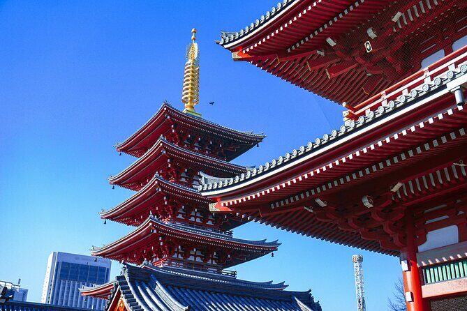 Tokyo: Big Highlights - Asakusa, Shibuya & Meiji Shrine tour - Good To Know