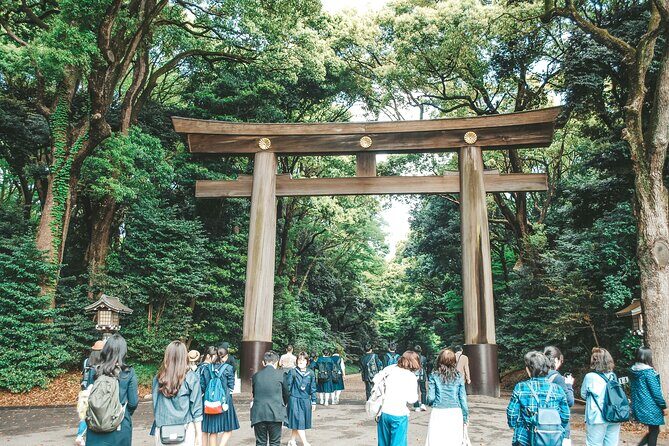 Tokyo: Big Highlights - Asakusa, Shibuya & Meiji Shrine tour - A Detailed Look at the Itinerary