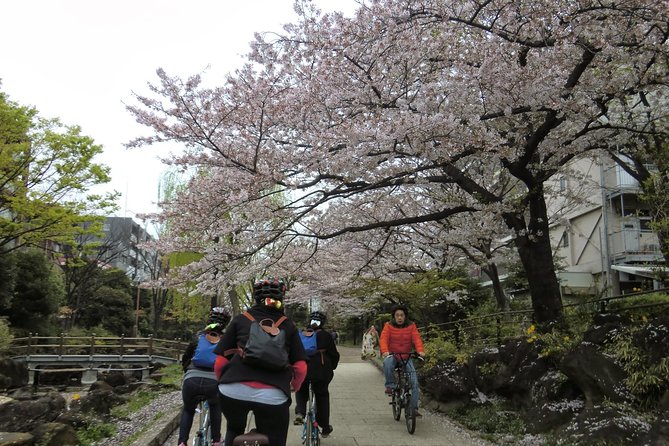 Tokyo by Bike: Skytree, Kiyosumi Garden and Sumo Stadium - Meeting Spot and Requirements