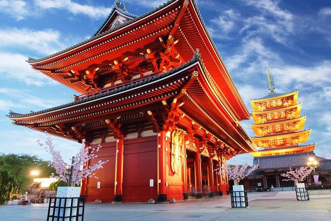 Tokyo by Yourself With English Speaking Driver by Van -4 or 8 Hrs - Meeting Time and Duration
