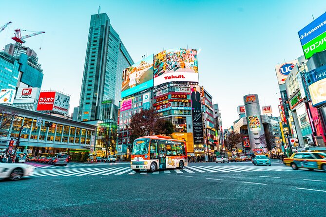 Tokyo by Yourself With English Speaking Driver by Van -4 or 8 Hrs - Infant and Accessibility Information