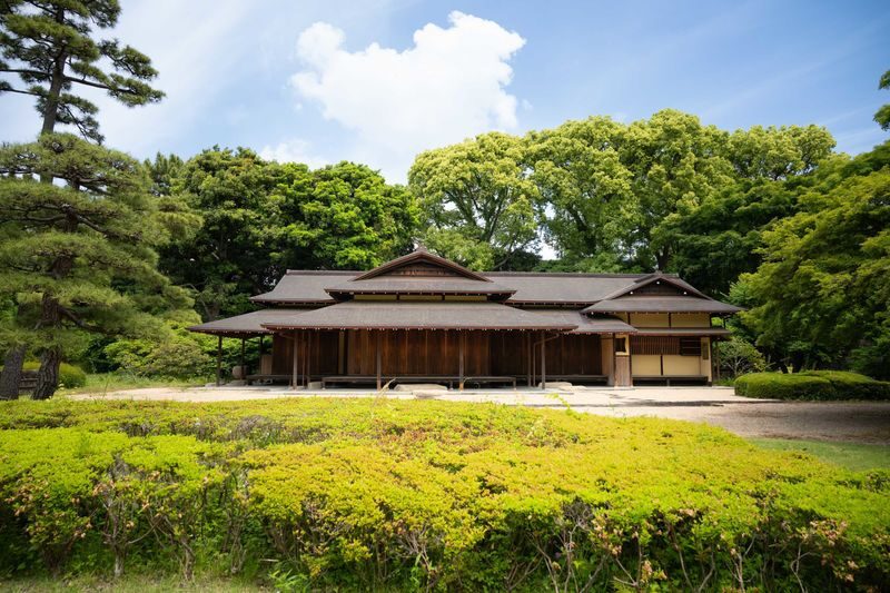 Tokyo Castle & Imperial PalaceーShogun Walking Tour - Meeting, walking, and weather notes