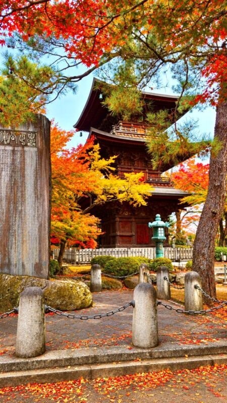 Tokyo Cat Cafe & Gotokuji Temple Half-Day Tour - The guide can make the short route click