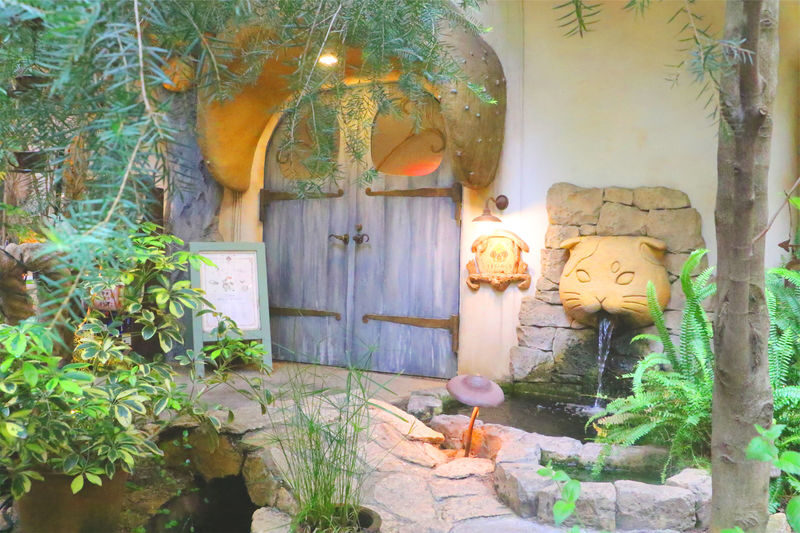 Tokyo Cat Cafe in Kichijoji - Castle Themed - What to know before you go