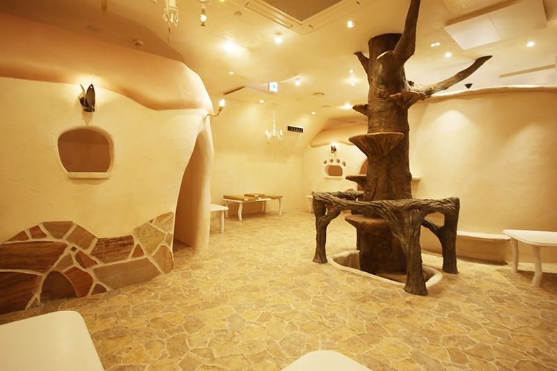 Tokyo Cat Cafe in Kichijoji - Castle Themed - The castle is part of the experience