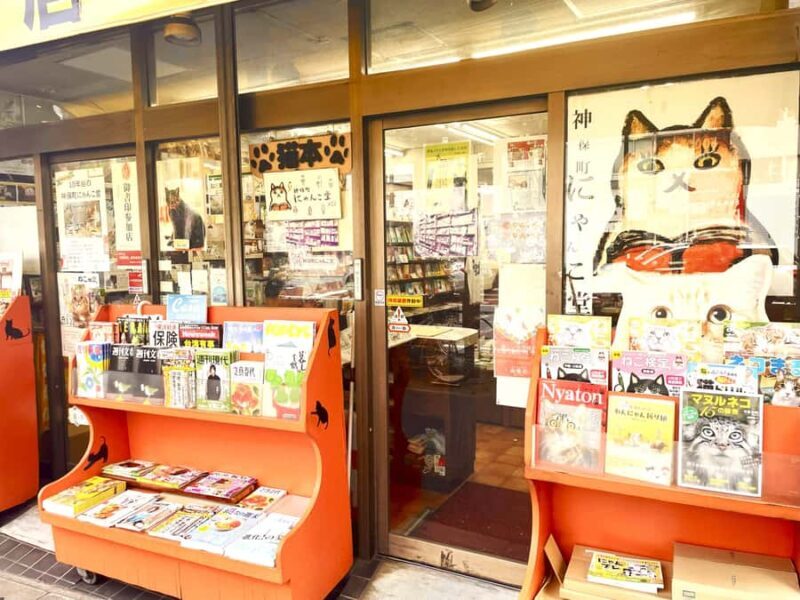 Tokyo: Cat-themed Bookstore & Shinjuku Cat cafe Night Tour - Good To Know