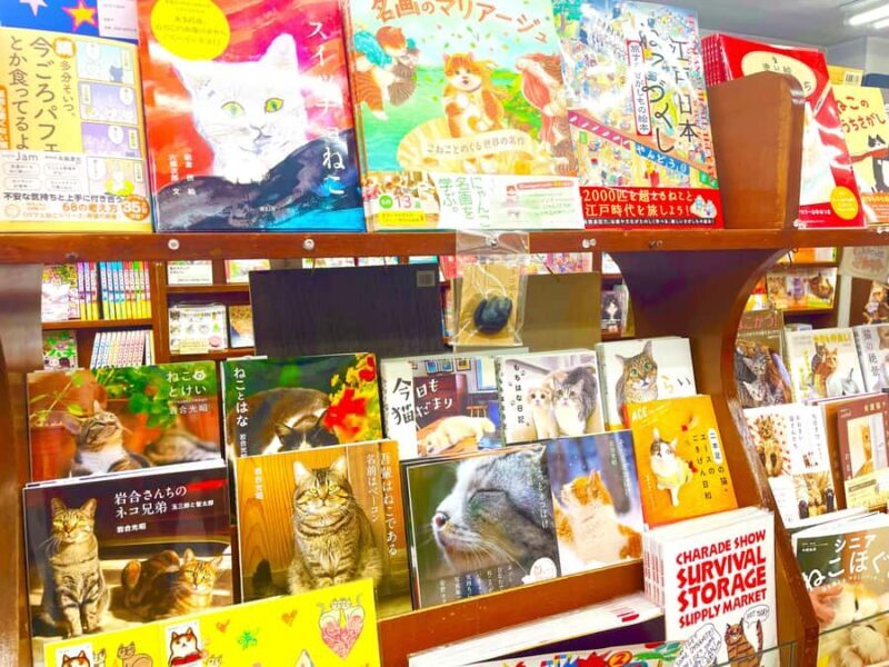 Tokyo: Cat-themed Bookstore & Shinjuku Cat cafe Night Tour - FAQ