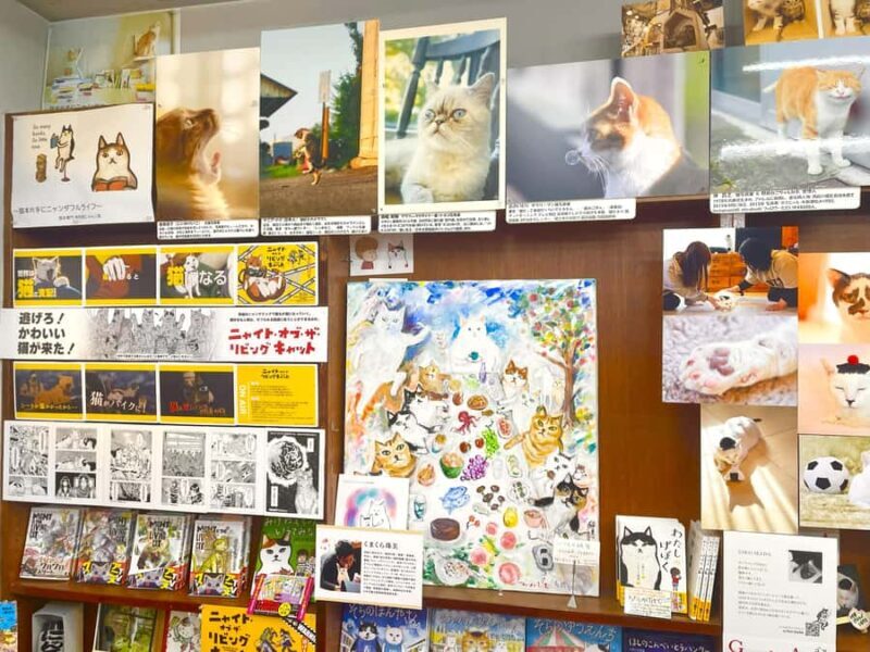 Tokyo: Cat-themed Bookstore & Shinjuku Cat cafe Night Tour - FAQs