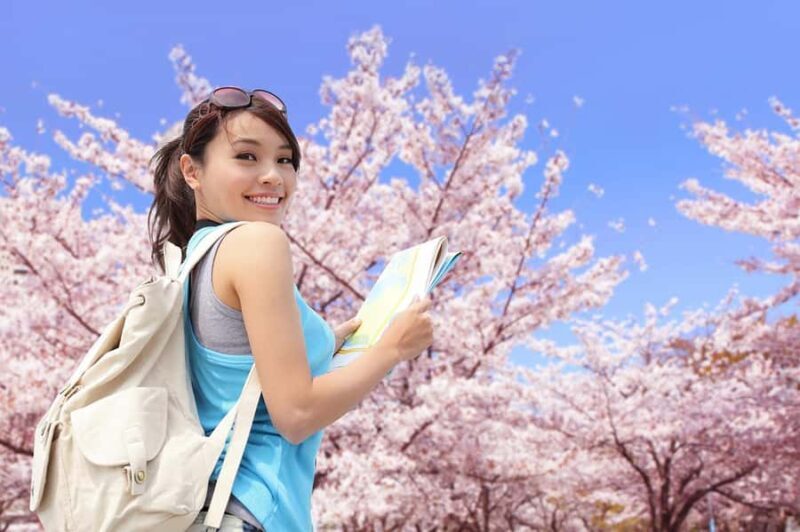 Tokyo: Cherry Blossom Full-Day Tour with Local Expert Guide - Tokyo: Cherry Blossom Full-Day Tour with Local Expert Guide