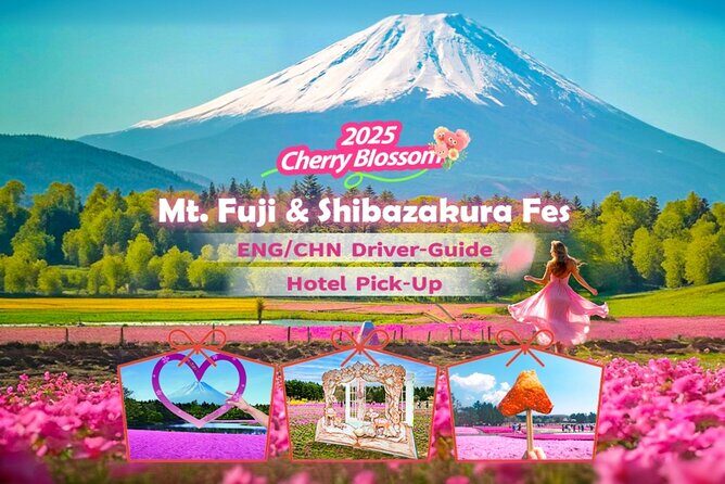 Tokyo Cherry Blossom Mt Fuji and Shibazakura Festival Day Trip - Good To Know