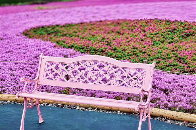 Tokyo Cherry Blossom Mt Fuji and Shibazakura Festival Day Trip - FAQ