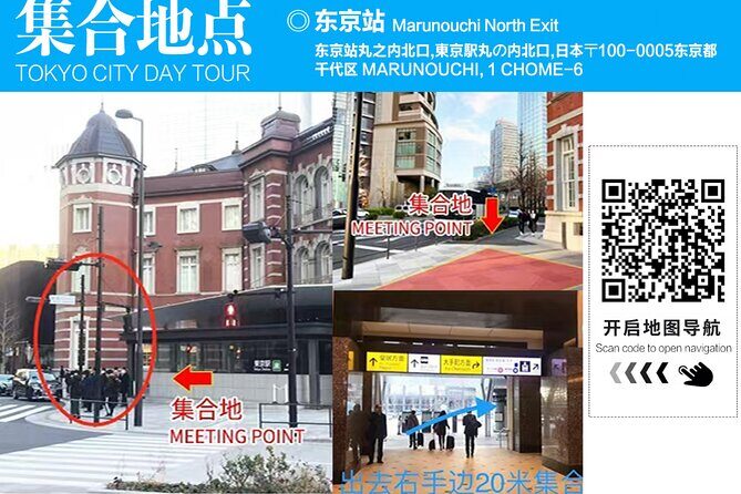 Tokyo Cherry Blossom Mt Fuji and Shibazakura Festival Day Trip - What’s Included and What You Should Know