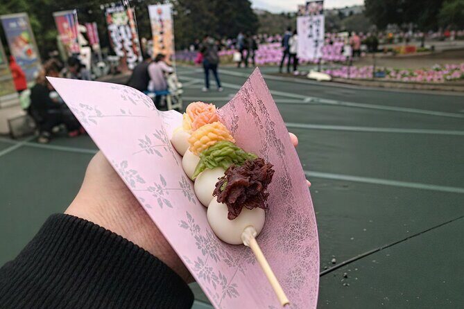 Tokyo Cherry Blossom Mt Fuji and Shibazakura Festival Day Trip - Transportation and Timing