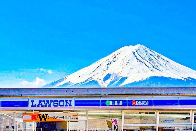 Tokyo Cherry Blossom Mt Fuji and Shibazakura Festival Day Trip - Final Thoughts: Is This Tour Right for You?