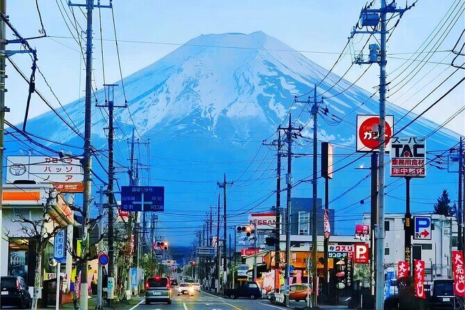 Tokyo Cherry Blossom Mt Fuji and Shibazakura Festival Day Trip - The Sum Up