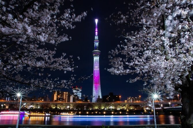 Tokyo Cherry-Blossom Viewing Traditional Dinner Cruise - Cruise Overview