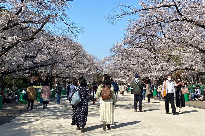 Tokyo Cherry Blossom Walking Tour - Good To Know