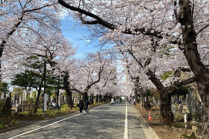 Tokyo Cherry Blossom Walking Tour - FAQ