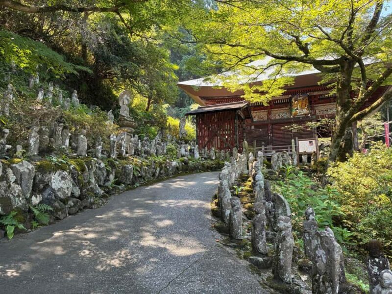 Tokyo: Chichibu Valley Driving Tour to Buddhist Temples - Scenic Vistas and Special Stops