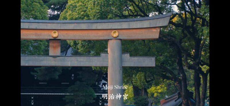 Tokyo: Cinematic Video Tour with Edited Clips - Good To Know