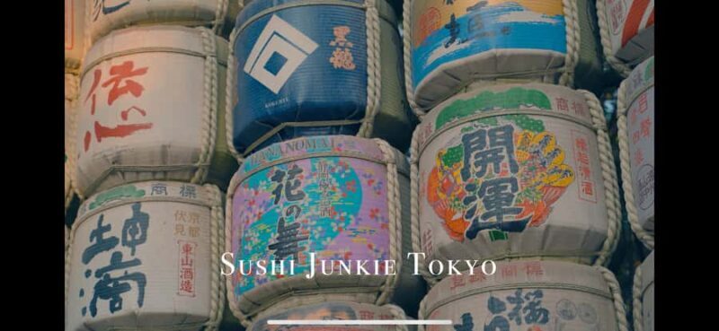 Tokyo: Cinematic Video Tour with Edited Clips - What to Expect from the Tokyo Cinematic Video Tour