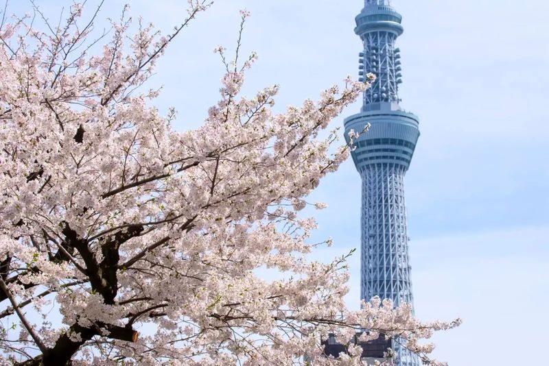 Tokyo City, Asakusa Cultural and Culinary One Day Walking Tour - Start at Kaminarimon and Senso-ji