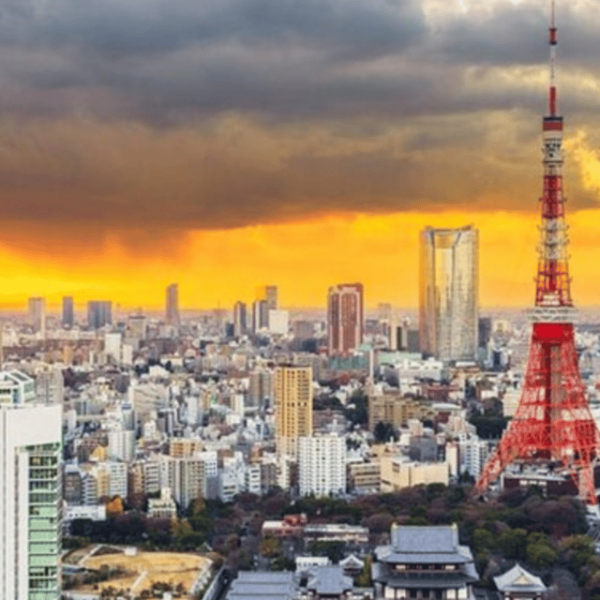 Tokyo City Customizable Private Tour By Car Pick Up 23 Ward - Recommended Items for Tour Day