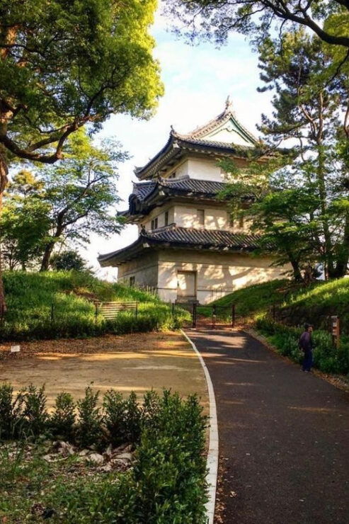 Tokyo City: Day Tour - Good To Know