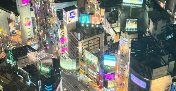 Tokyo City: Day Tour - Customization and Flexibility