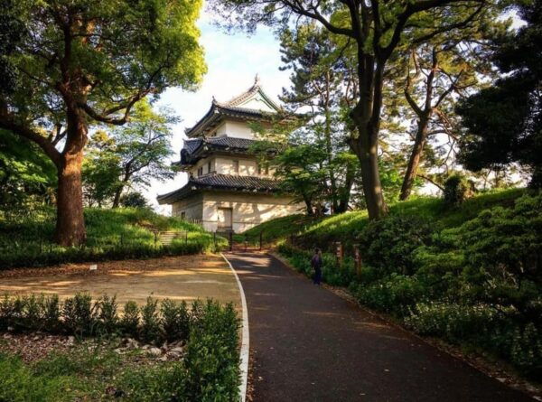 Tokyo City: Day Tour - Booking and Cancellation Policy