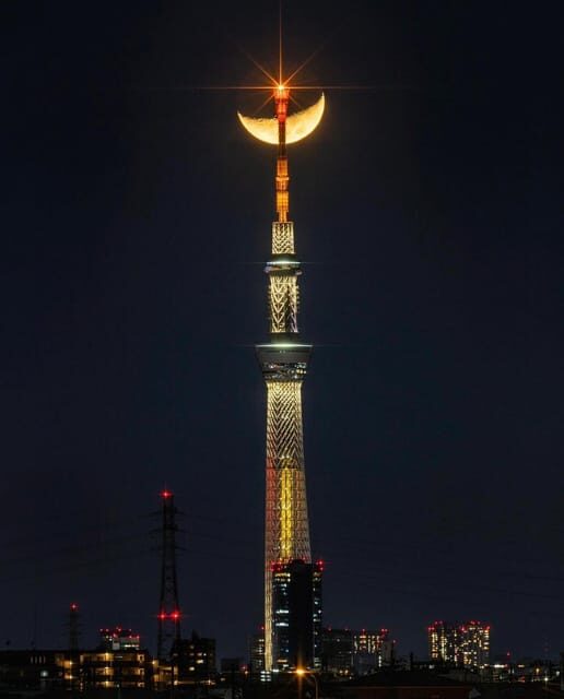 Tokyo city day tour with englisg speaking driver. - What to Expect: The Practicalities