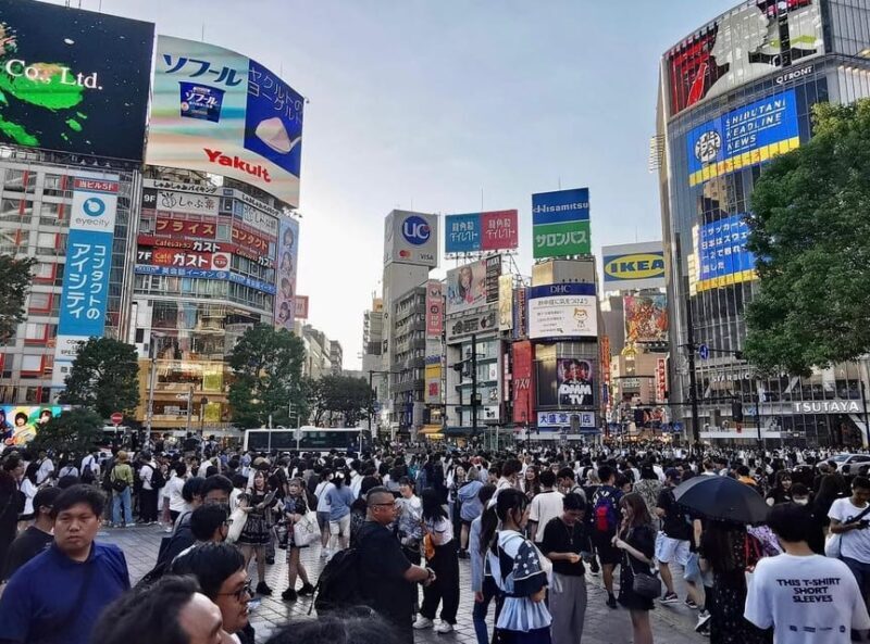 Tokyo city day tour with englisg speaking driver. - Cost & Value: Is It Worth $365?