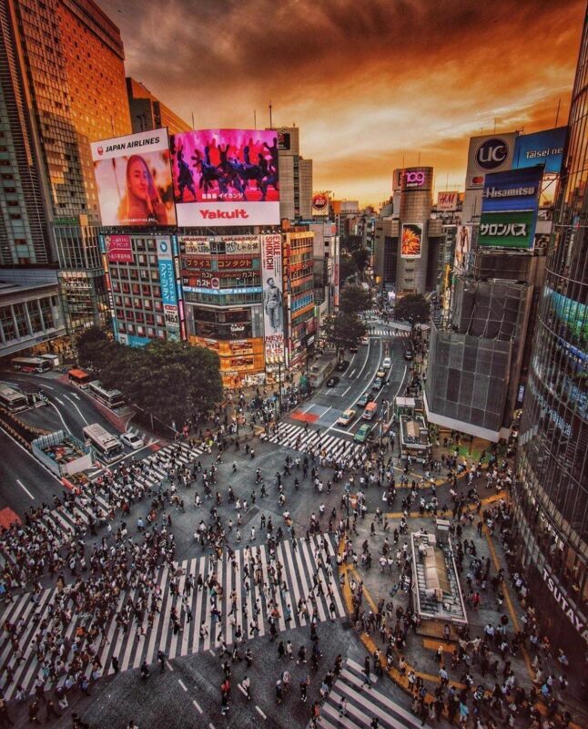 Tokyo city day tour with englisg speaking driver. - Authentic Insights from Past Travelers