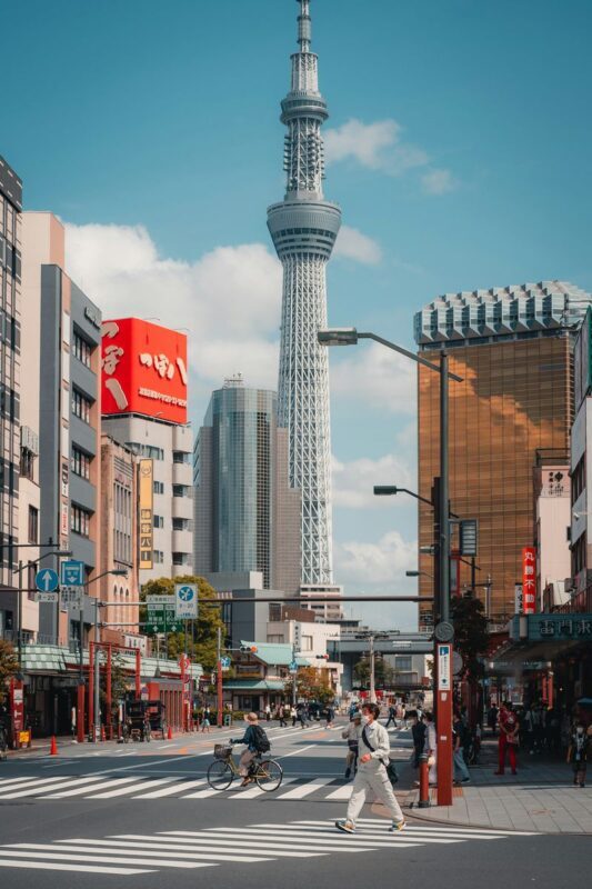 Tokyo City Full-Day Private Customizable Tour - Planning your stops without overpacking the day