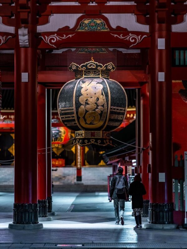 Tokyo City Full-Day Private Customizable Tour - Who should consider this tour