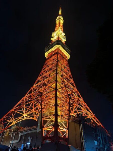 Tokyo City Full Day Tour With Pick-Up & Drop-Off - Booking Process and Cancellation Policy