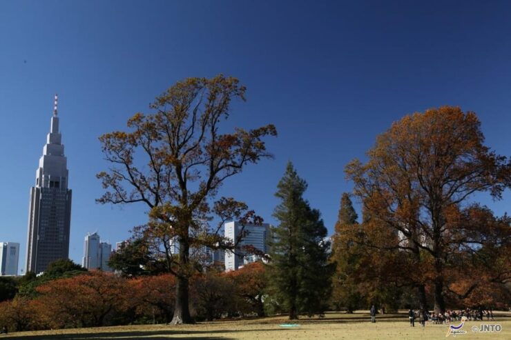 Tokyo City Half-Day Cruising: Door-to-Door Transfer Service - Itinerary Highlights