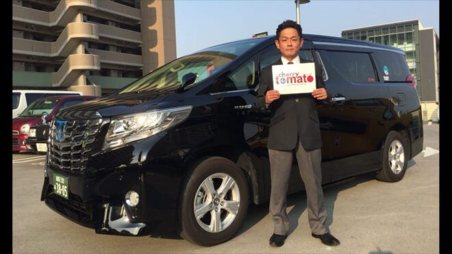Tokyo City Half-Day Cruising: Door-to-Door Transfer Service - Transportation Details