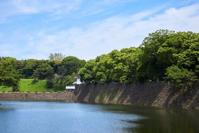 Tokyo City Half-Day Cruising: Door-to-Door Transfer Service - Customer Reviews