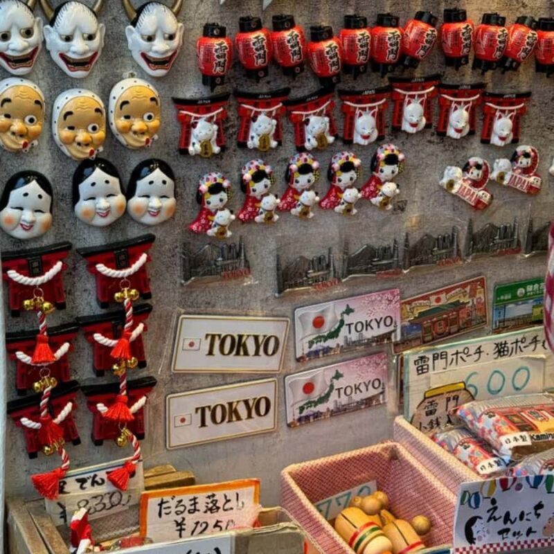 Tokyo City Highlight Private Tour Full Adjustable Itinerary - Who is This Tour Best For?