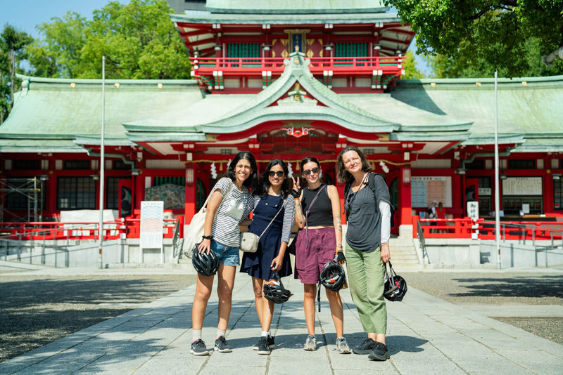 Tokyo City Highlights Half-Day E-Bike Tour with Guide - A guide can shape the whole ride