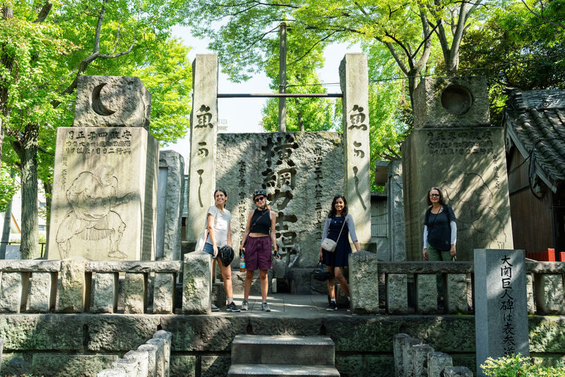 Tokyo City Highlights Half-Day E-Bike Tour with Guide - What the price may be worth