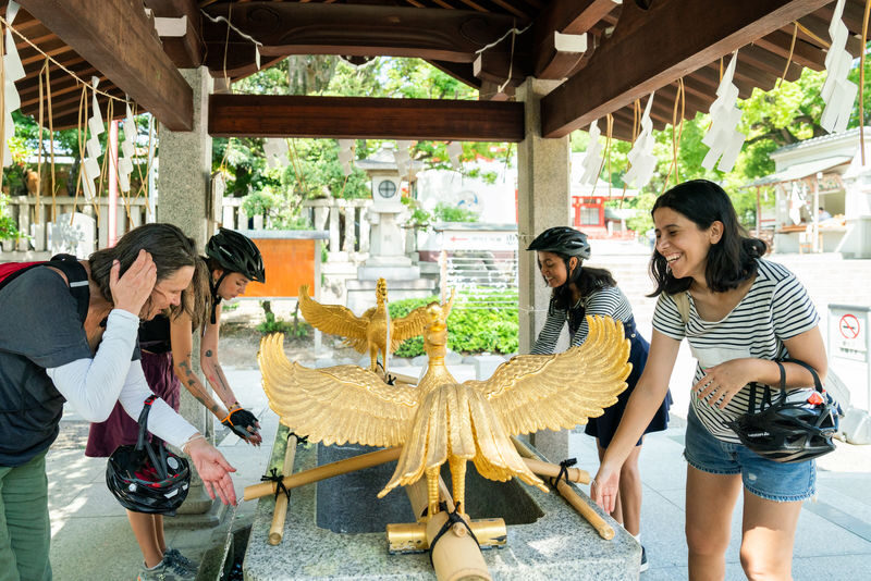 Tokyo City Highlights Half-Day E-Bike Tour with Guide - Booking details worth checking