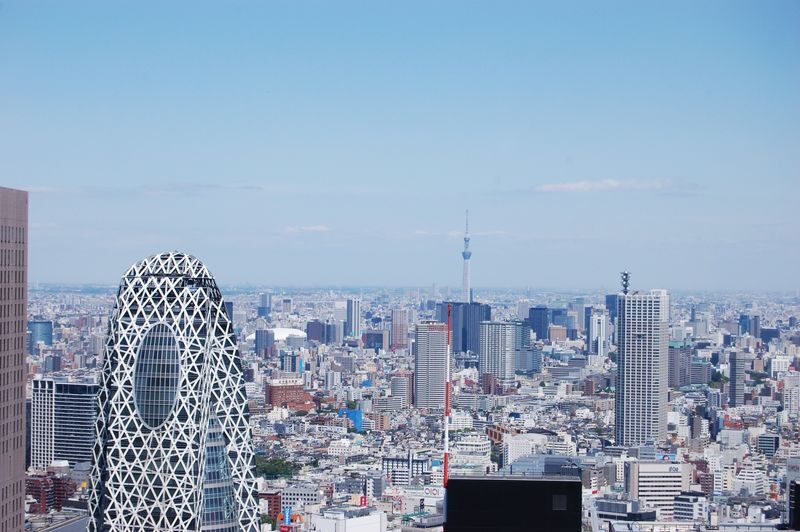 Tokyo City, Meiji Shrine & Skytree Bus Tour with Cruise - Meiji Shrine: a calm start beneath the torii gates